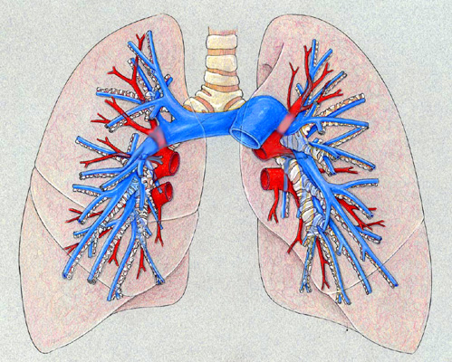 pulmonary tests